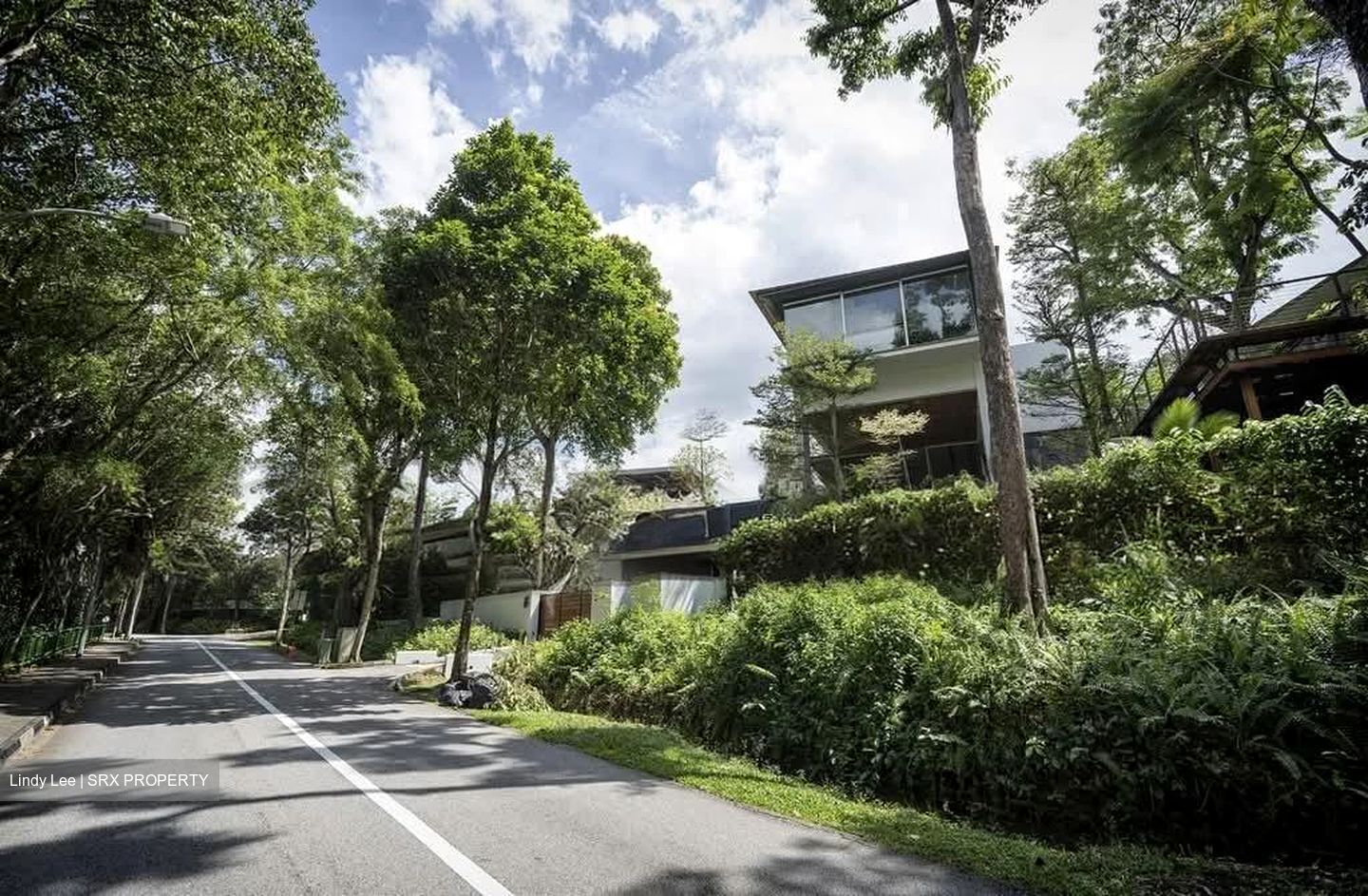 Dunearn Road (D11), Detached #609600691